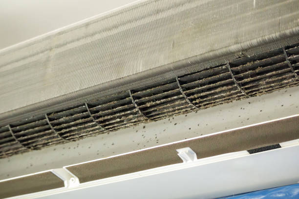 Home Air Vent Cleaning in Zephyrhills, FL